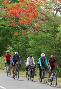 The first Bali Audax 2009